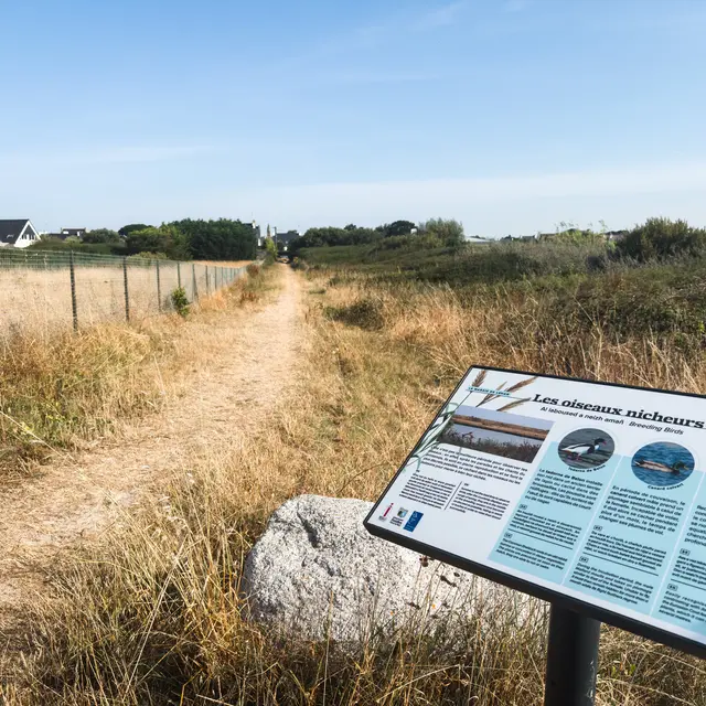 Circuit d'interprétation de Treffiagat - Treffiagat - Pays bigouden