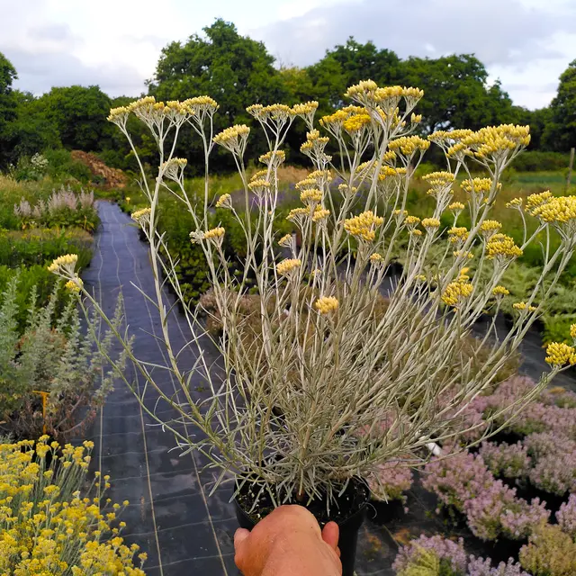 Jardin Bout du monde