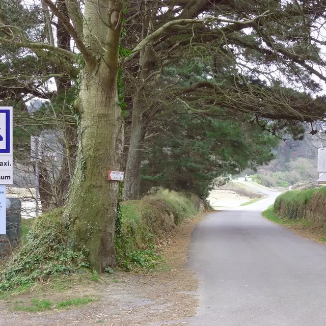 Kermouster (c) Quesnel Karin