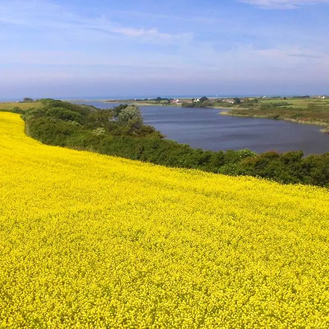 L'étang de Trunvel - Tréogat - Pays Bigouden