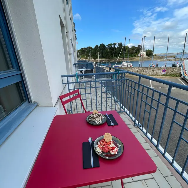 La méduse Terrasse(1)