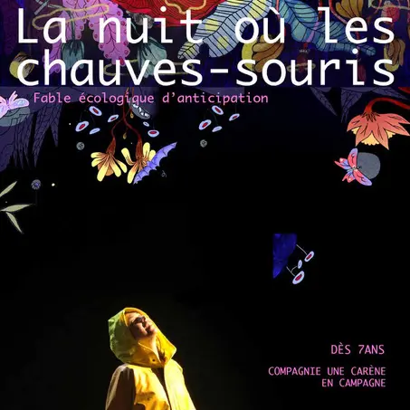 chauves-souris