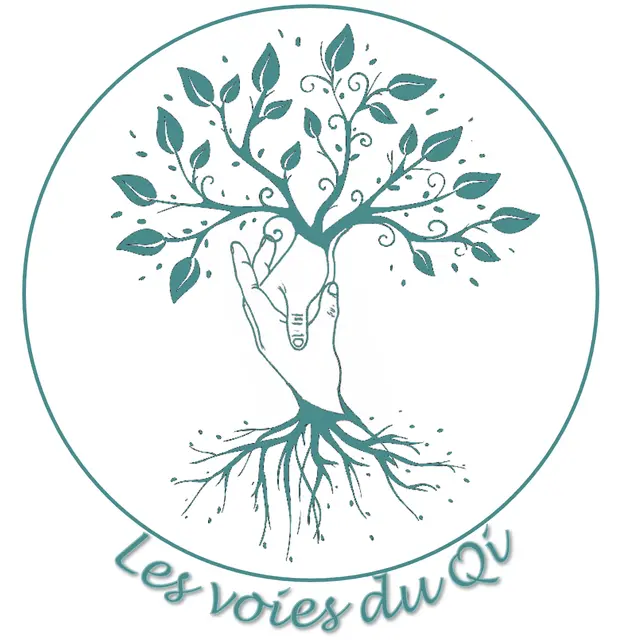 Les Voies du Qi Logo flyer