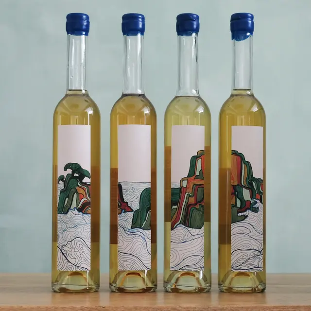 Les Voiles Cap Sizun