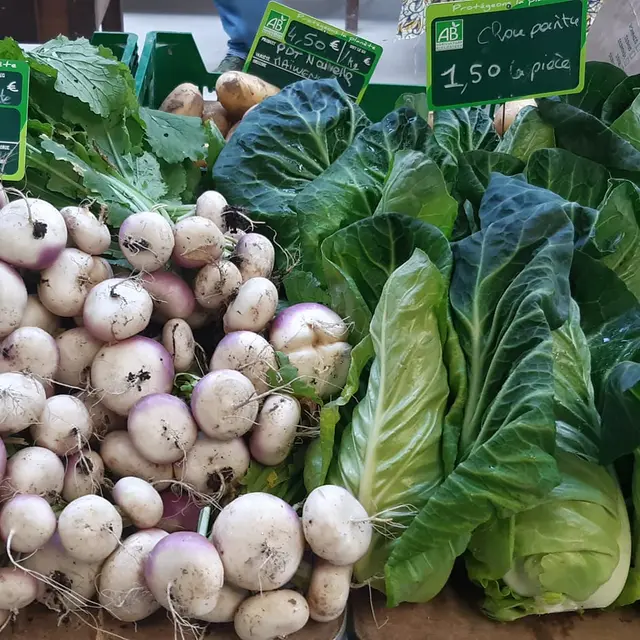 Marché paysan à la ferme du wern - légumes