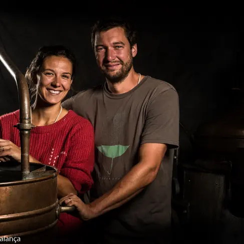 Distillerie Moby Dick à Plogoff