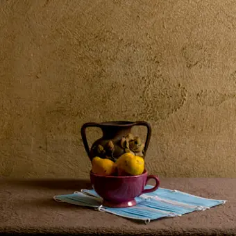 NOV Isabelle Otto ottoiz-2_orig