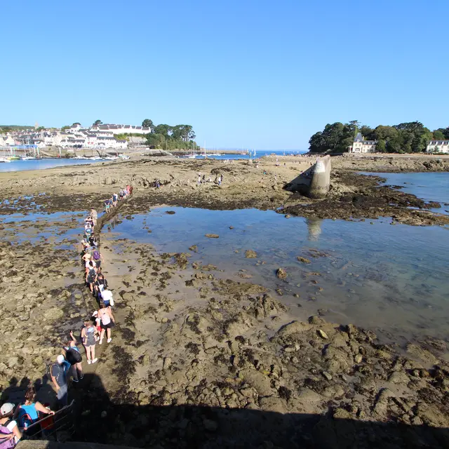 Ile Tristan