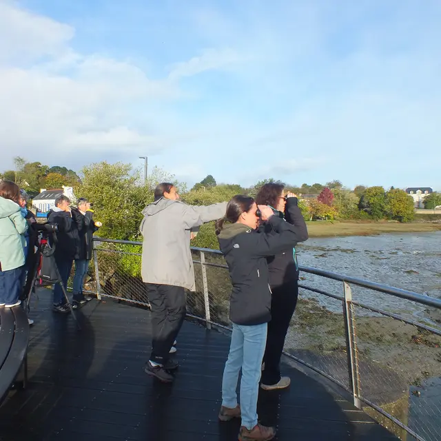 Oiseaux Nathalie Delliou (35) ©OTLFF