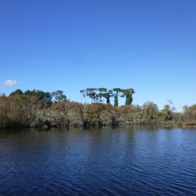 Marais de Mousterlin 1