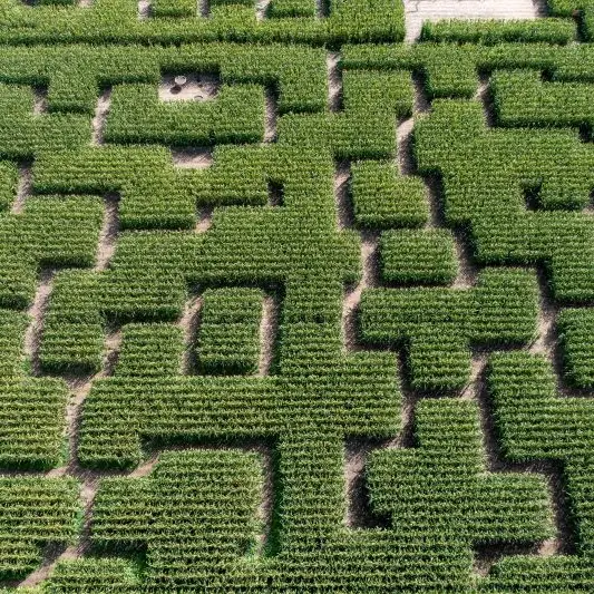 Pop Corn Labyrinthe - Pont-l'Abbé - Pays Bigouden - Bigoudenjoy