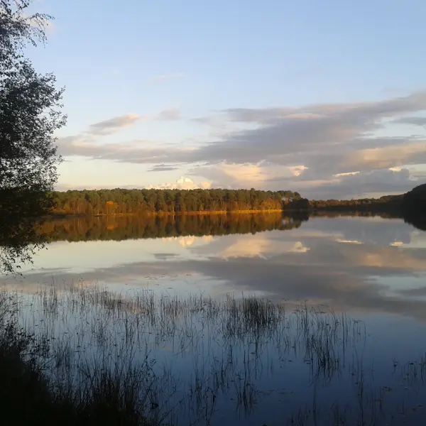 Lac de Trémelin à Iffendic