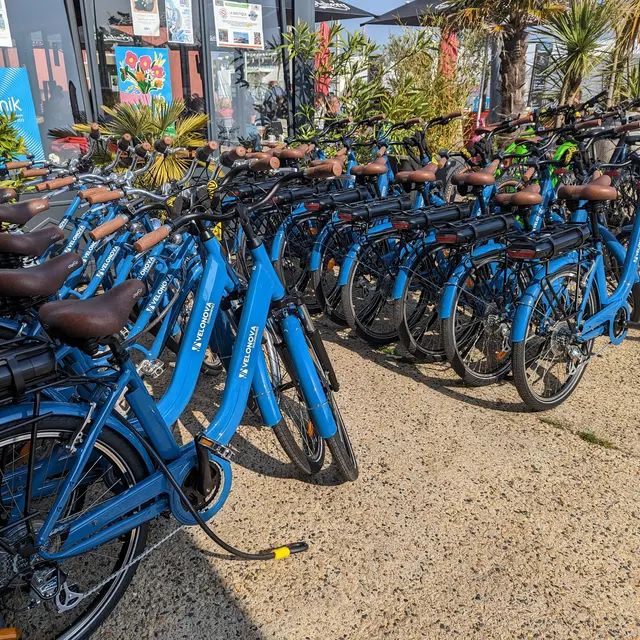 Vélos de location