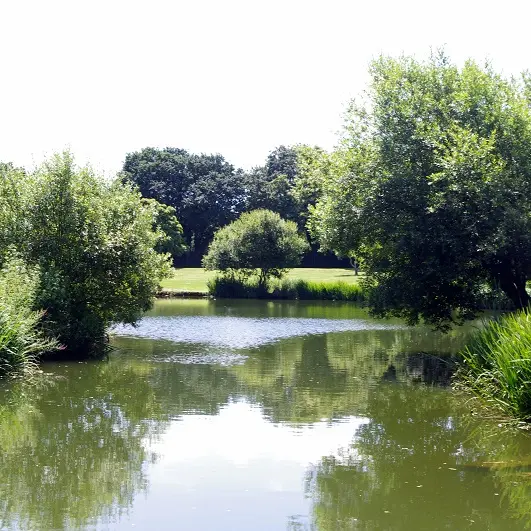 Parc Raphalen - Ploneour-Lanvern-Pays Bigouden