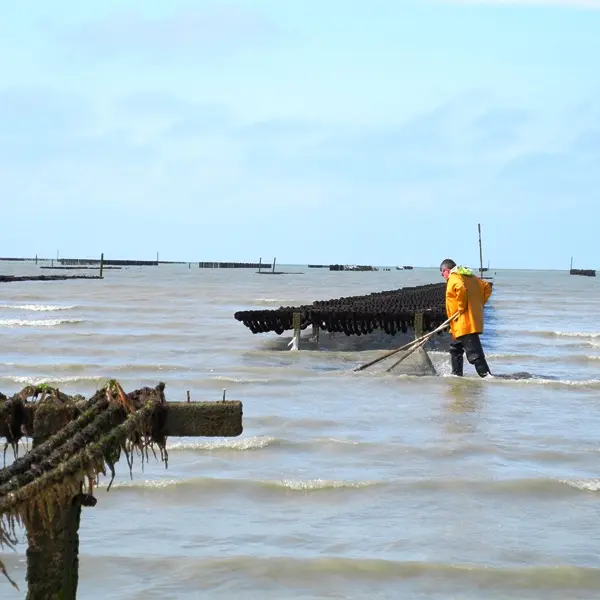 Pêche en Baie - ©Train Marin