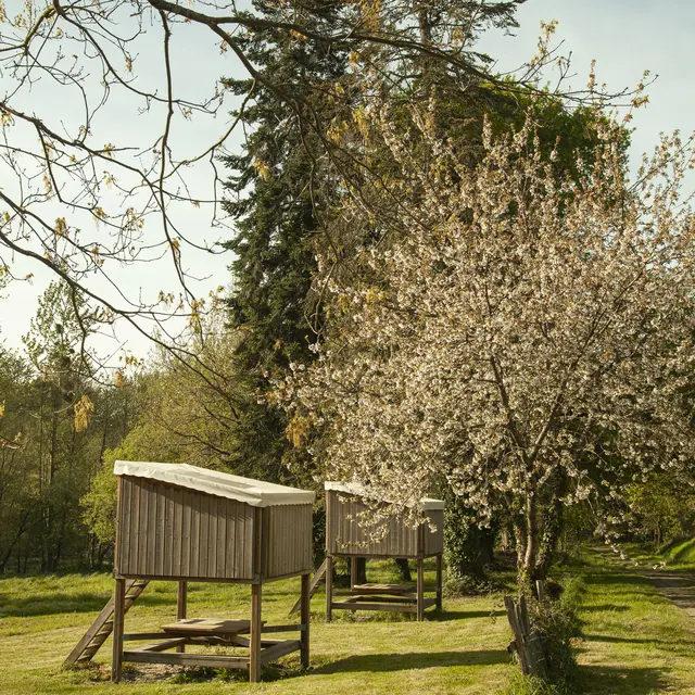 Photo camping la morinais