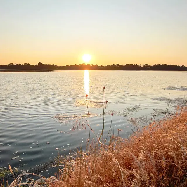 Rendez-vous nature - Combrit - Pays bigouden