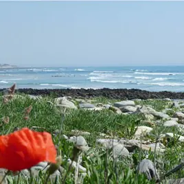 Plage de Kerrest - Plozevet - Pays Bigouden-1