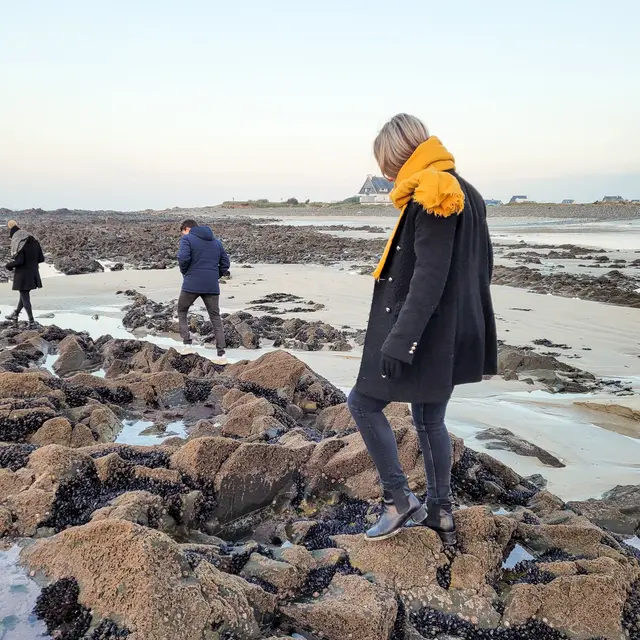 Sortie nature - Plozevet - Pays bigouden