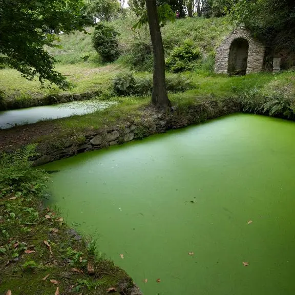 Routoirs de Convenant Diuzet Hengoat