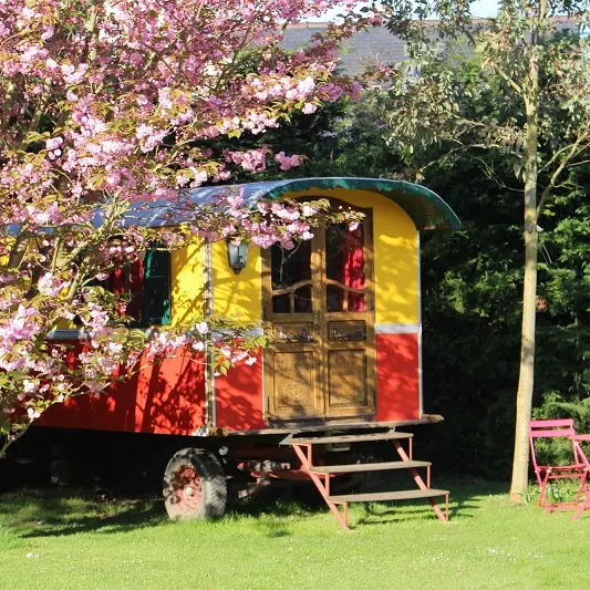 Hébergement insolite-La Roulotte Romanès-Saint-Malo