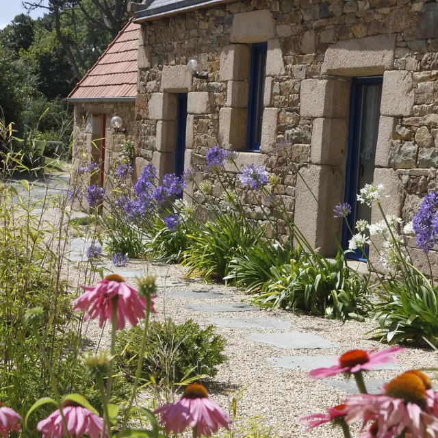 Run-ar-Marec---Myosotis-2022-1