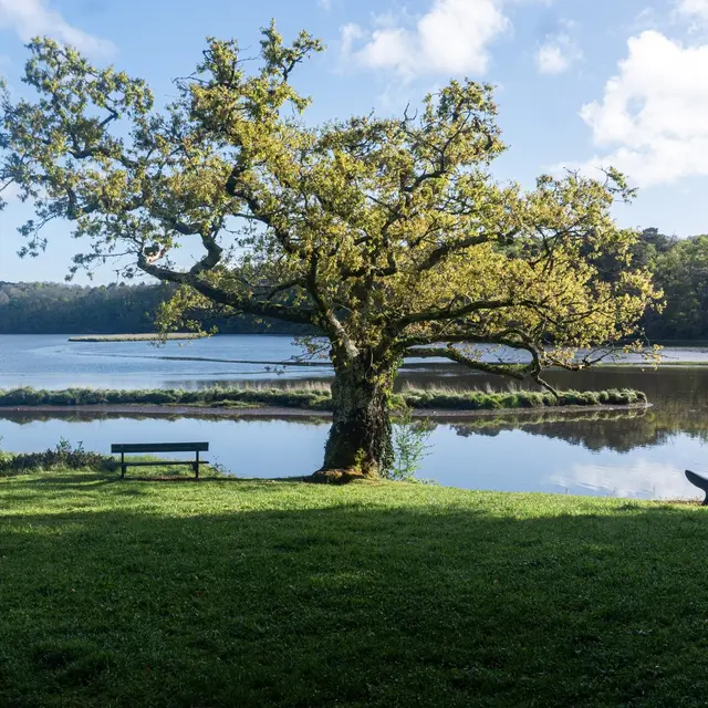 Site abbatial de Saint-Maurice-Clohars-Carnoët_SDNR_042025_Amélie Quimperlé les rias-1