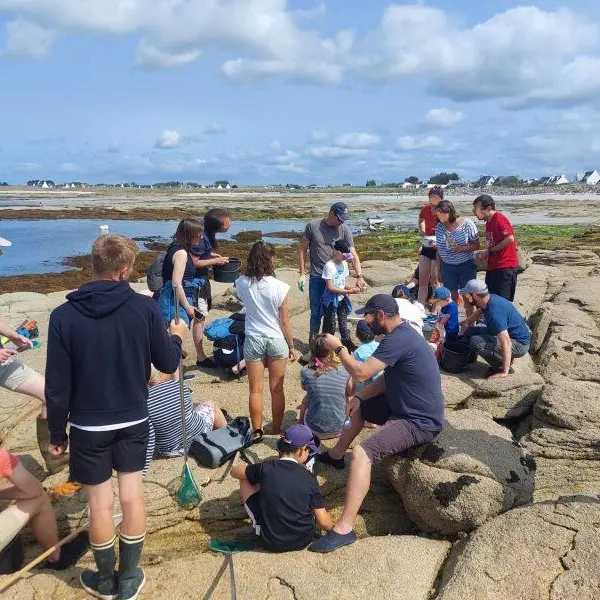 Sortie découverte de l'estran - Treffiagat - Pays bigouden