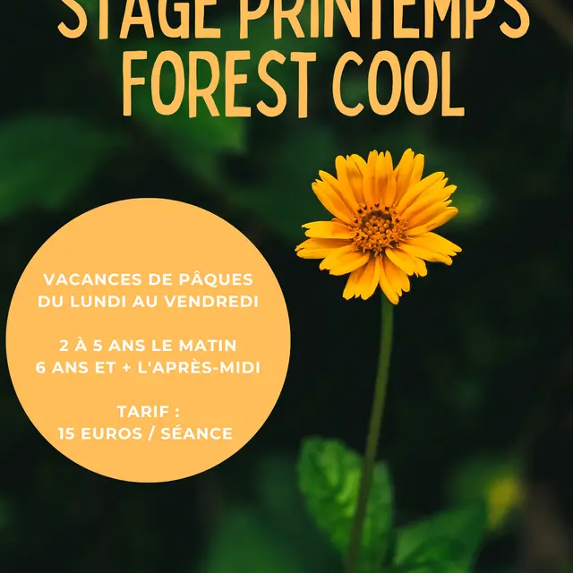 Stage vacances de printemps