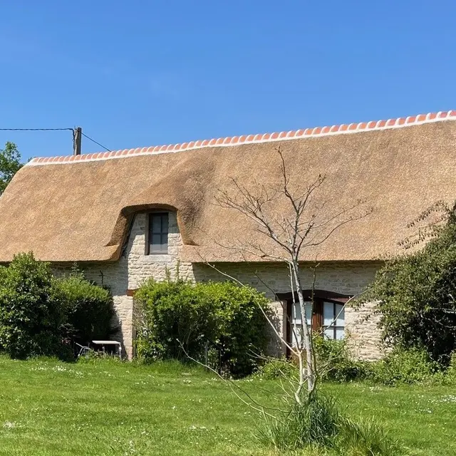 VAN DORSSEN Conrad - Iris - Plomeur - Pays bigouden