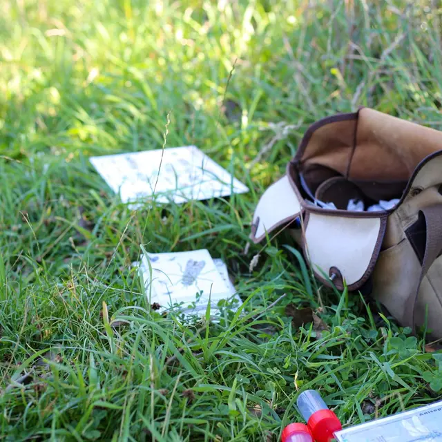 Atelier nature - Treguennec - Pays Bigouden - Bigoudenjoy