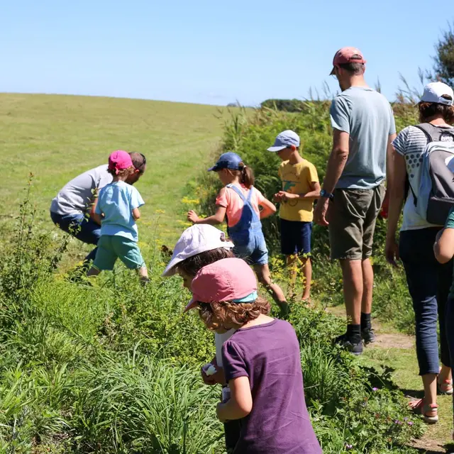 Atelier nature - Tréguennec - Pays bigouden