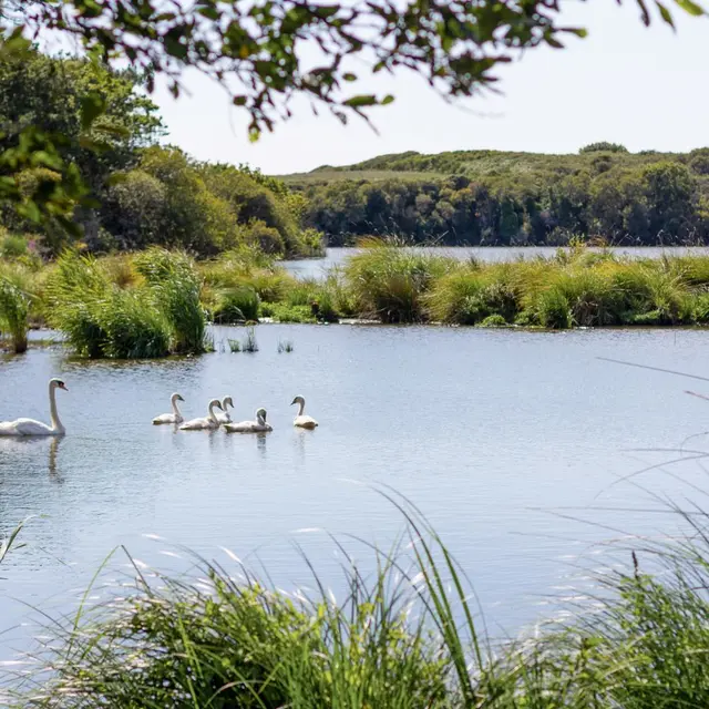 Rendez-vous nature - Tréguennec - Pays bigouden
