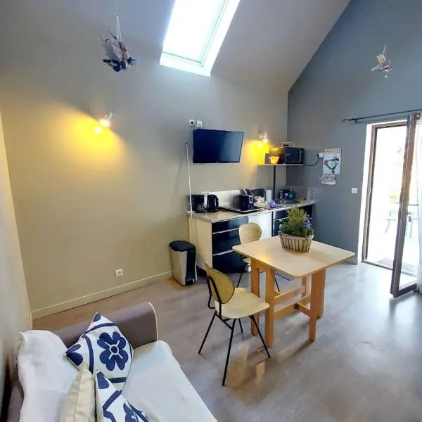 Location SEULLIET Eric - Guilvinec - Pays Bigouden - Bigoudenjoy 1