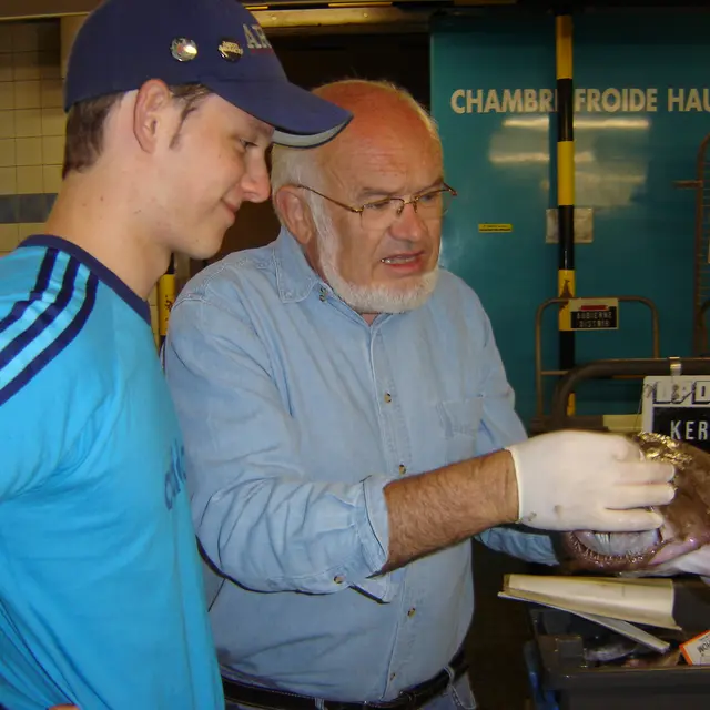 Visite du Port de St-Guénolé - Penmarch - Pays bigouden