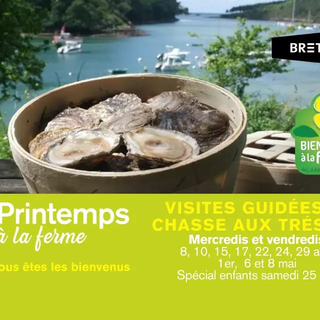 Visite et chasse aux trésors