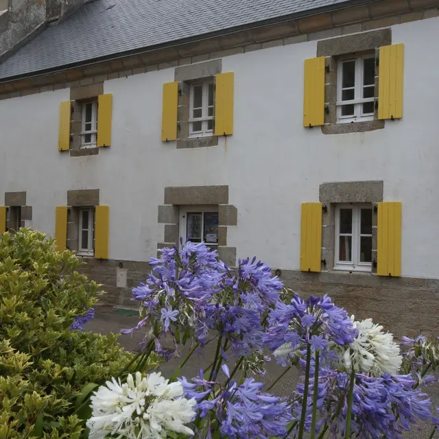 Volets jaune