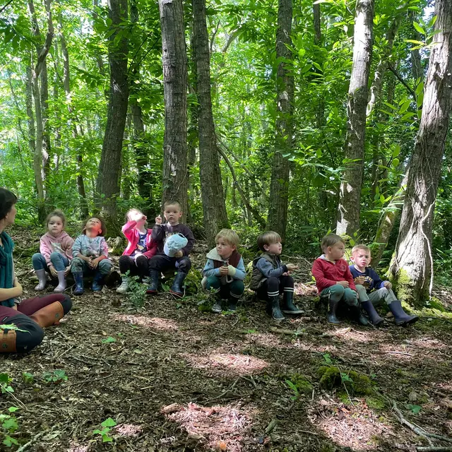 A l'écoute des oiseaux