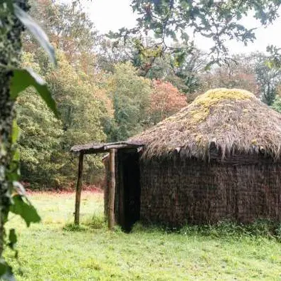 a-la-decouverte-de-la-foret-de-coatloc-h