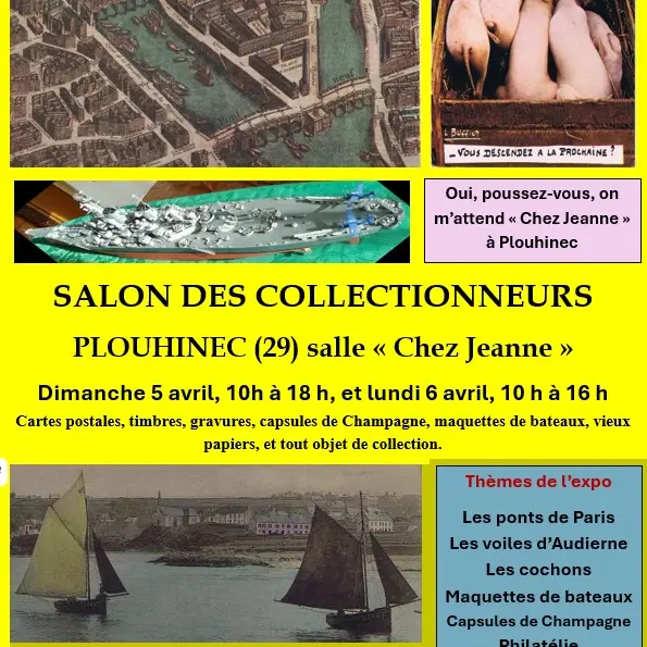 Salon des collectionneurs