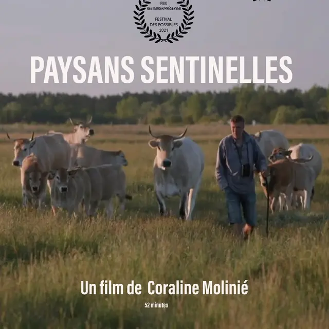 affichepaysanssentinellesvf