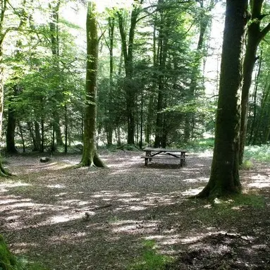 aire pic nic Beffou (D119)