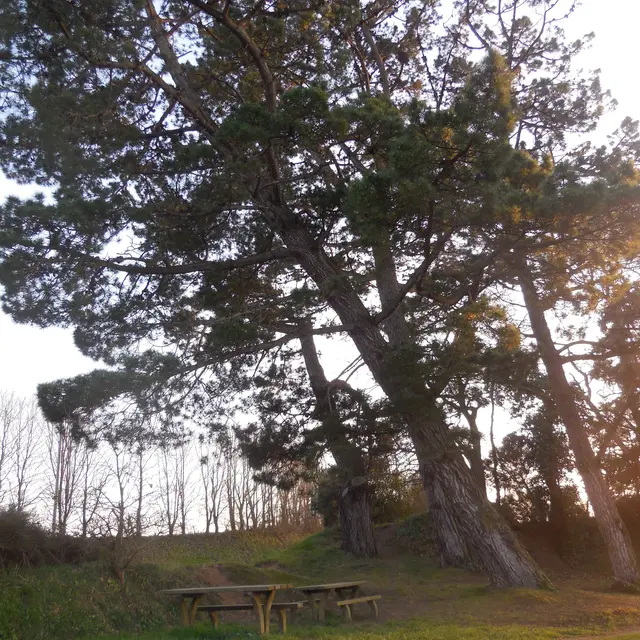 aire pic nic Poulloguer