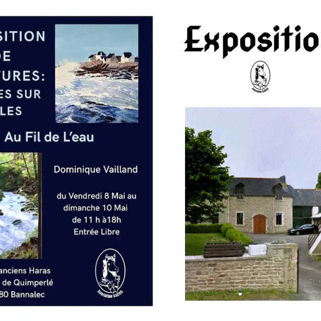 exposition dominique Vailland