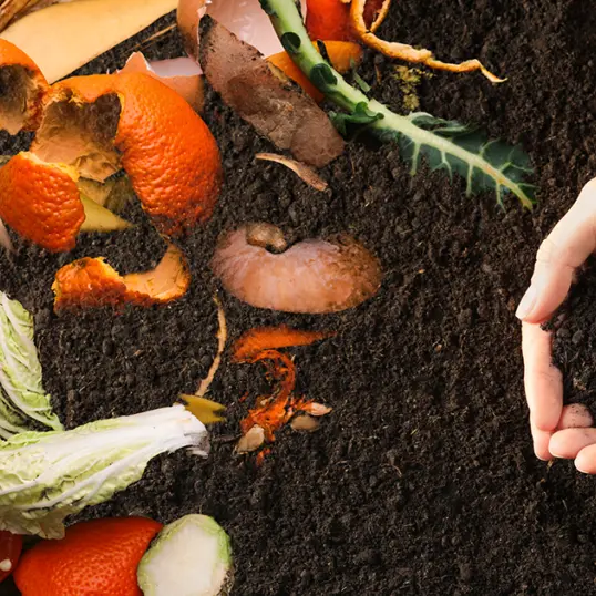 baneau-atelier-compost-1024x538