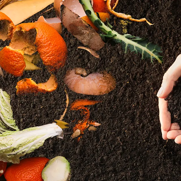 Organic waste for composting on soil and woman holding green seedling, top view. Natural fertilizer