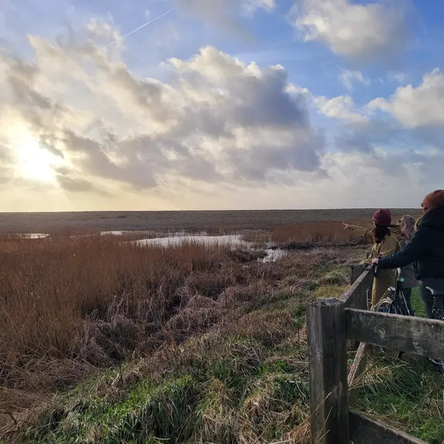 Sortie nature - Plovan - Pays Bigouden