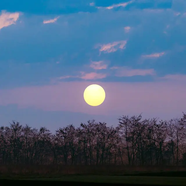 Rendez-vous nature - Combrit - Pays bigouden