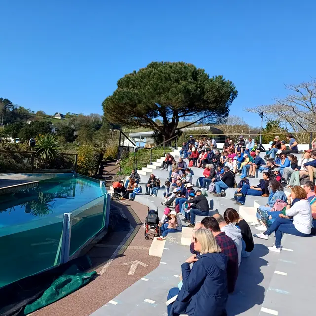 Aquashow Audierne