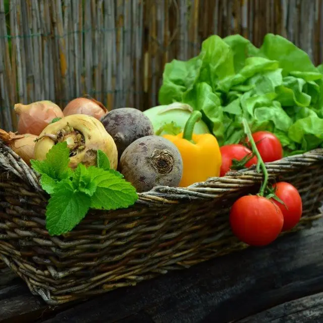 compress vegetables-752153